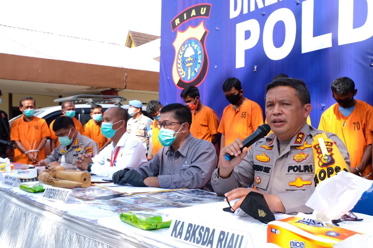 Polda Riau berhasil amankan Sindikat Perdagangan Gading Gajah di Lintas Pekanbaru Taluk Kuantan